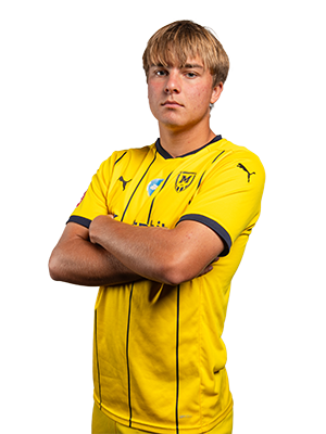 Arseniy Svirgun